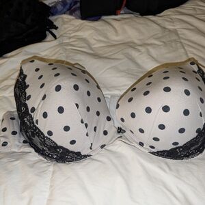 Lane Bryant Cacique Black and White Polka Dot Bra with Lace